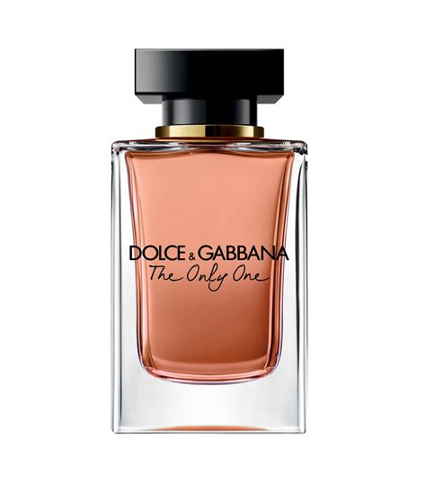 the one dolce gabbana mondino|the one dolce gabbana mujer.